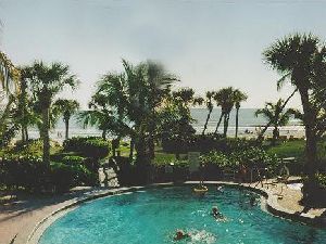 pool and view