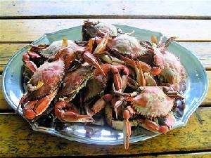 Crab Feast on Porch