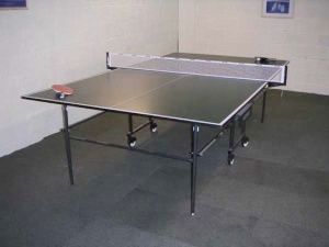 Full size Table Tennis