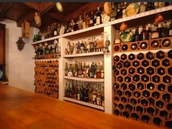 Well-stocked bar and cellar