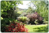 Leura Gardens